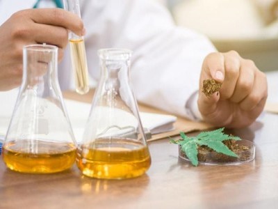 Why Choose Callie’s for Your Northglenn Dispensary?